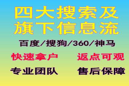 SEM服务案例：提升网站流量